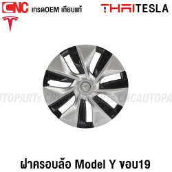 ลายเดิม 1วง,Model Y ขอบ19